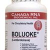 Boluoke Lumbrokinase - 60 capsules