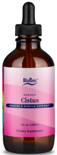 Cistus