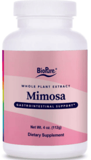 Mimosa
