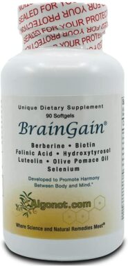 Braingain