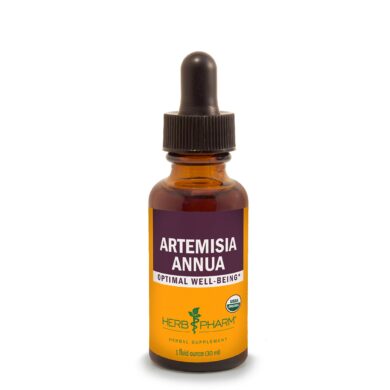 Artemisia Annua