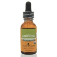 Artichoke