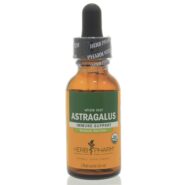 Astragalus