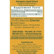 Astragalus