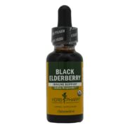 Black Elderberry