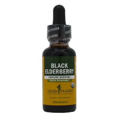 Black Elderberry