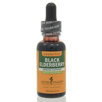 Black Elderberry Glycerite