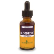 Bloodroot