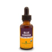 Blue Cohosh