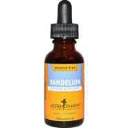Dandelion Glycerite