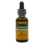 Echinacea Glycerite