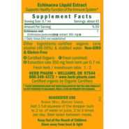 Echinacea
