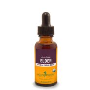 Elder