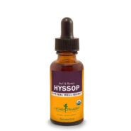 Hyssop