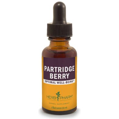 Partridge Berry (Squaw Vine)