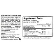 Green Tea Extract