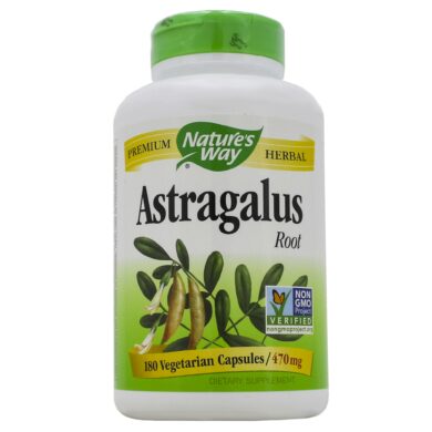 Astragalus Root