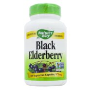 Black Elderberry