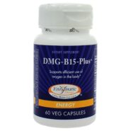 DMG-B15-Plus