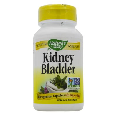 Kidney Bladder