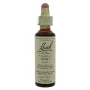 Vine