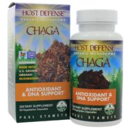 Chaga (Inonotus obliquus)