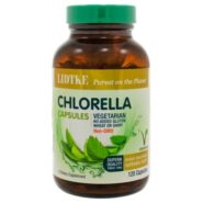 Chlorella